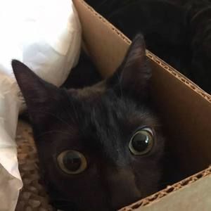 Meet your Posher, Beth